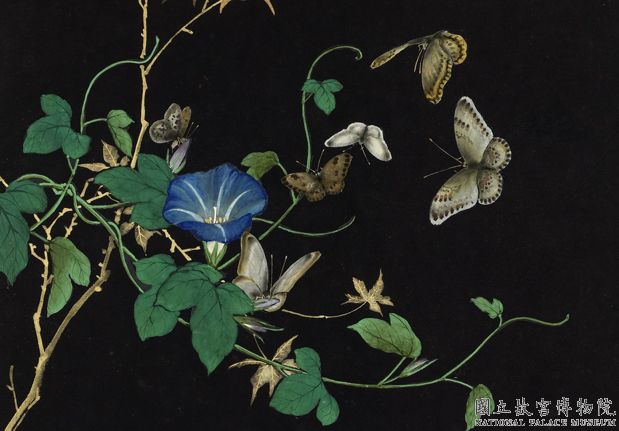 清沈振麟畫耄耋同春 冊 牽牛花